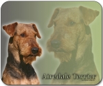Mousepad Airedale Terrier #2